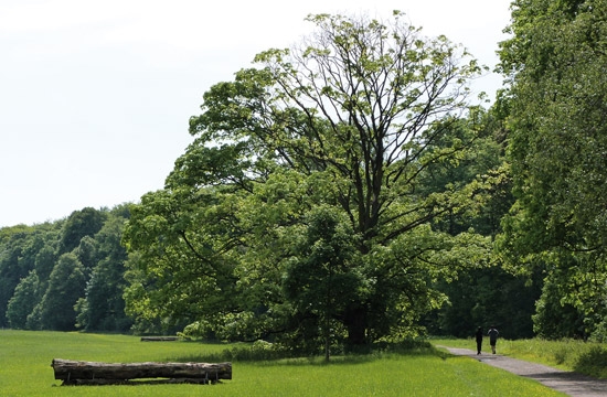 Umweltmedizin, Frauenärzte Dres. Tietze Berg. Gladbach, Refrath